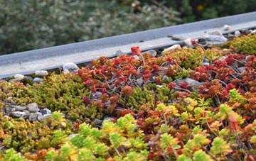 the cost of Easby green roof installation