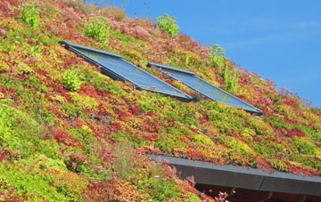 Easby living roof systems