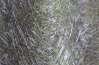 Easby fibreglass roof work